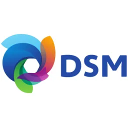DSM logo