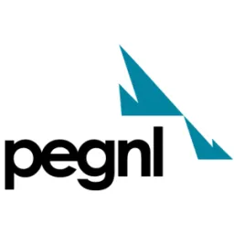 Professional Engineers & Geoscientists NL (PEGNL) logo