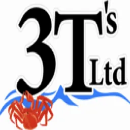 3T's Limited logo